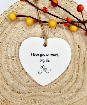 I Love You Big Sister