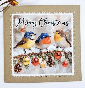 Handmade Robin Christmas Card | Festive Bird Greeting