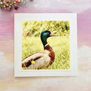 Handmade mallard duck greeting card featuring countryside wildlife artwork