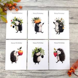 Hedgehog birthday card pack with six handmade A6 woodland greeting cards